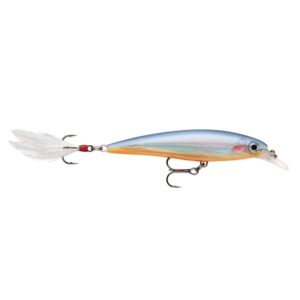Rapala X-Rap XR 10  SCP