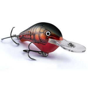 Bagley Balsa Crankbaits Diving B1